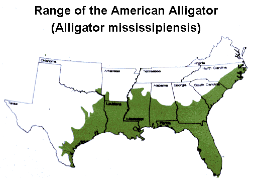 Range_of_the_USA_Alligator